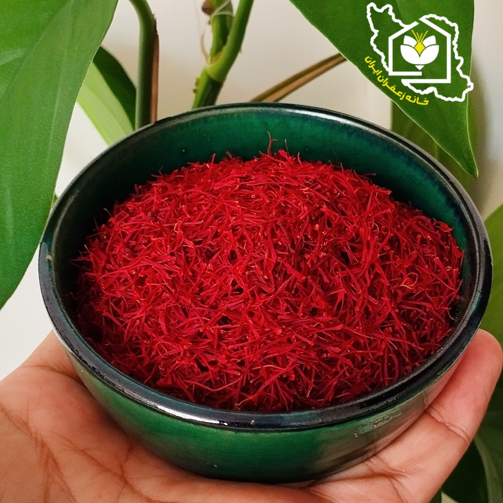 زعفران سرگل ممتاز قائنات (نیم مثقالی)