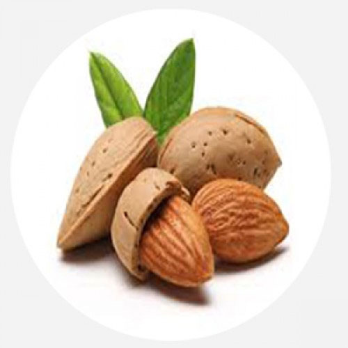 روغن ماساژ بادام شیرین