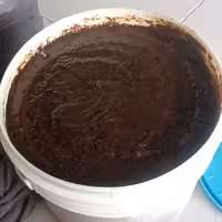 رب انار ملس