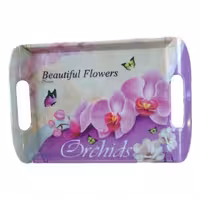 سینی ملامین استاندارد کوچک