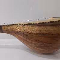 سه تار سفارشی 