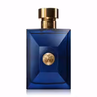 عطر ورساچه پور هوم دیلن بلو - Dylan Blue Pour Homme