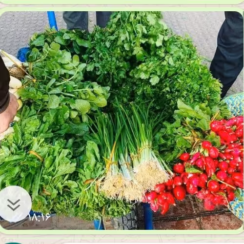 سبزی خوردن تازه خانگی نمونه