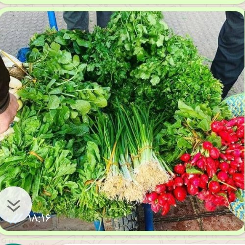 سبزی خوردن تازه خانگی نمونه