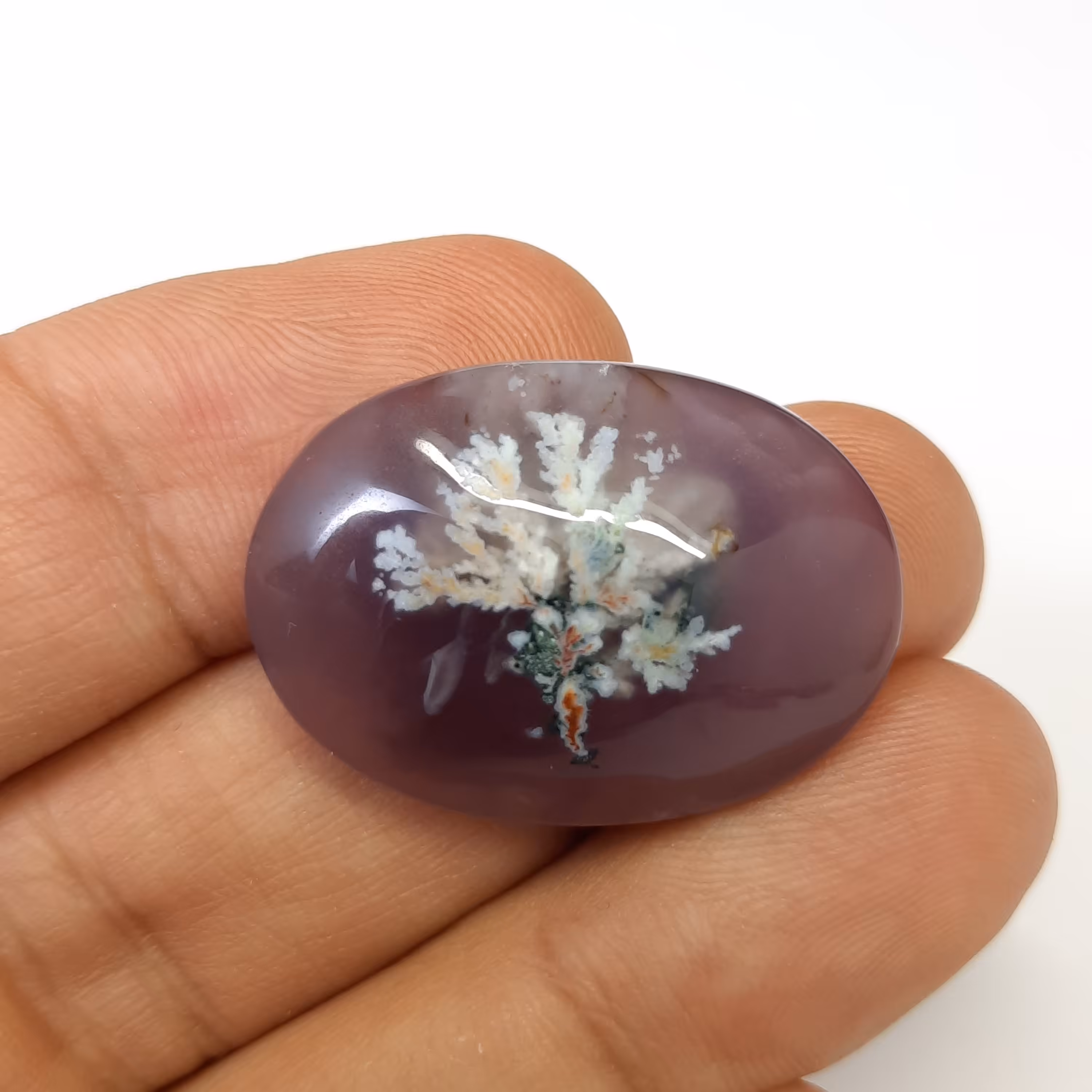 شجر بنفش بهاری طبیعی