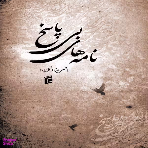 کتاب نامه های بی پاسخ اثر افسر مینا نشر جامعه شناسان