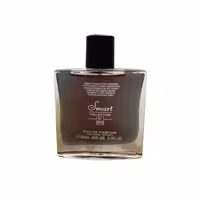 ادو پرفیوم مردانه اسمارت کالکشن مدل 604 حجم 100 میلی لیتر