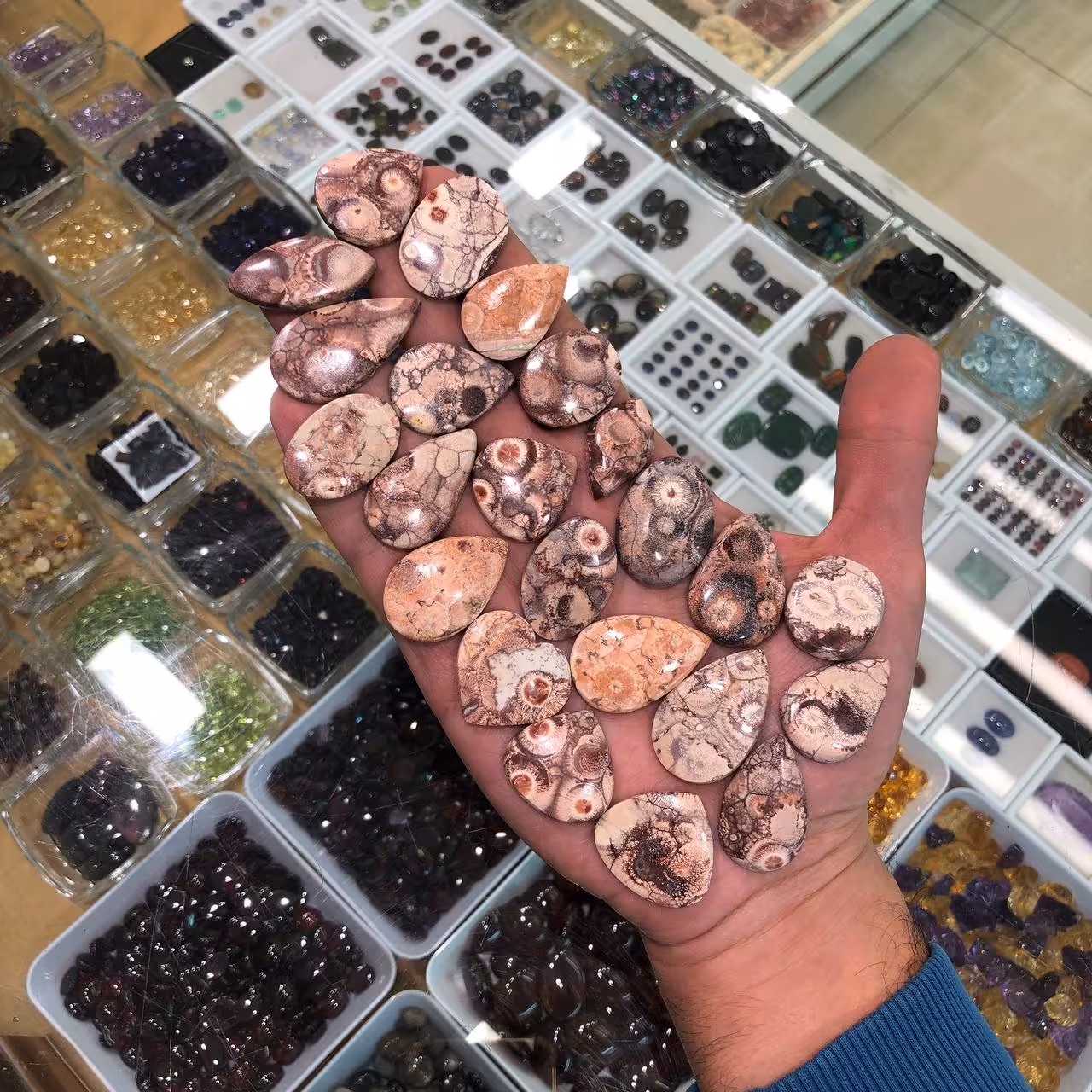 پک همکاری سان فلاور جاسپر طبیعی 240139