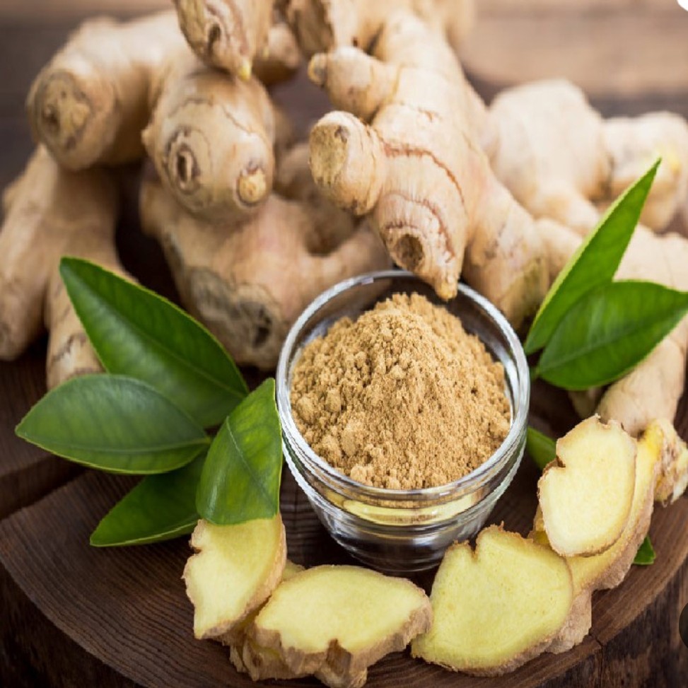 پودر زنجبیل وگیاه زنجبیل اعلاء 100 گرمی  درجه یک تضمین کیفیت 