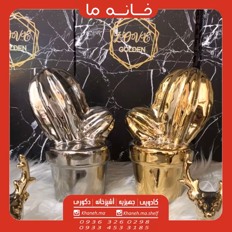 گلدان کاکتوس سرامیکی