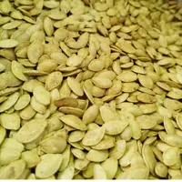 تخمه کدوی دوآتیشه ایرانی خوشطعم تازه(یک کیلو)