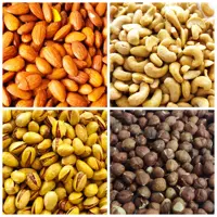 آجیل چهار مغز شور ممتاز 1000 گرمی(تضمین کیفیت)