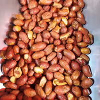 بادام زمینی تازه .بار جدید .هنگام سفارش شور کرده و بصورت تازه تحویل مشتری داده میشود.