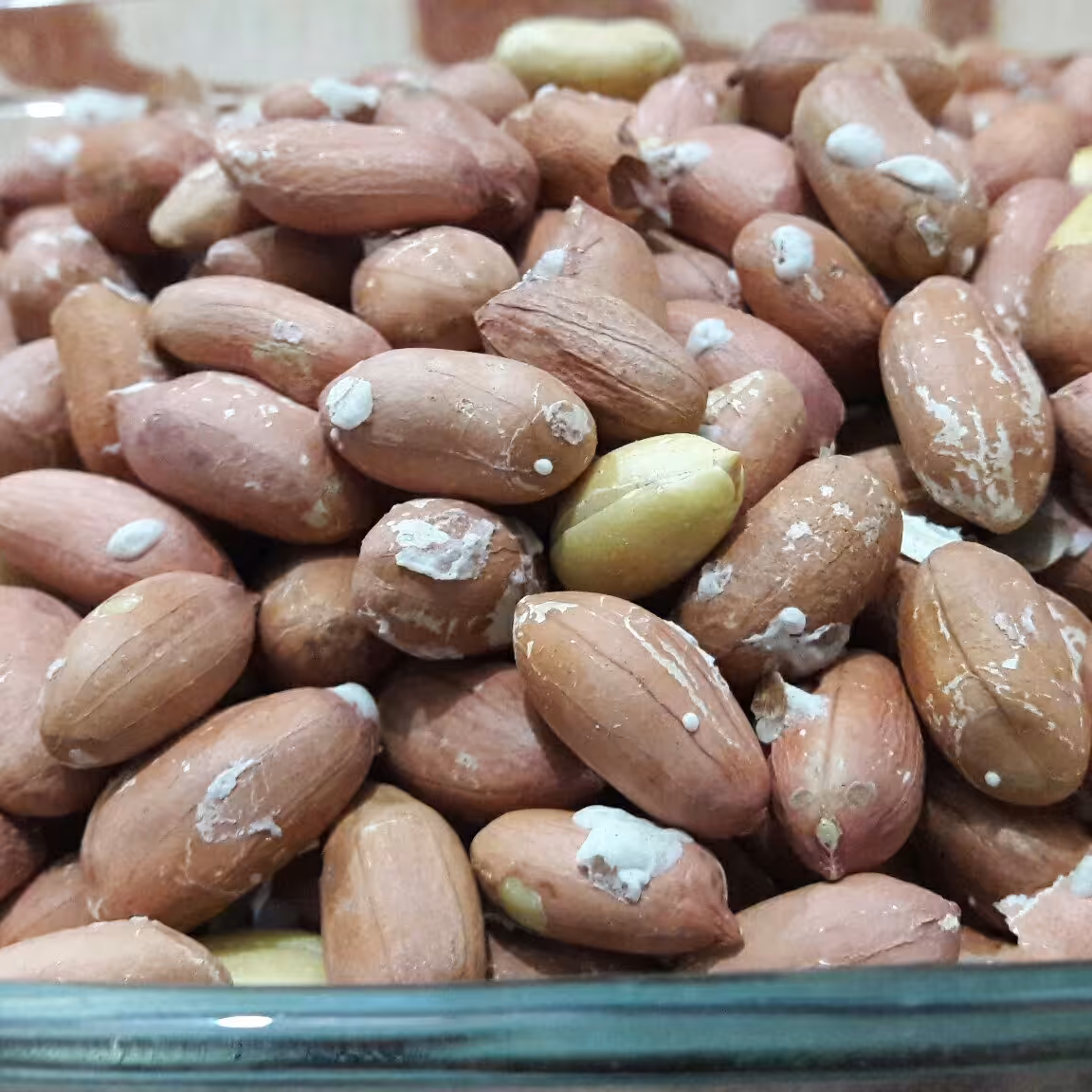 بادام زمینی آستانه بدون غلاف