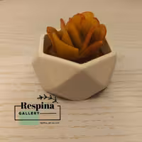 جا وارمری سنگی چند ضلعی   رنگ سفید