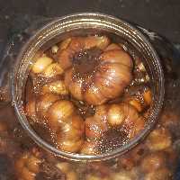 سیرترشی 6ساله(10کیلو)