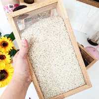 بانکه حبوبات سایز 4 شایگان با طراحی چوب و شیشه بسیار شیک و زیبا