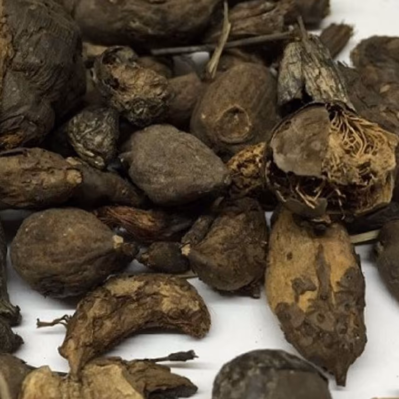 سعد کوفی100گرم