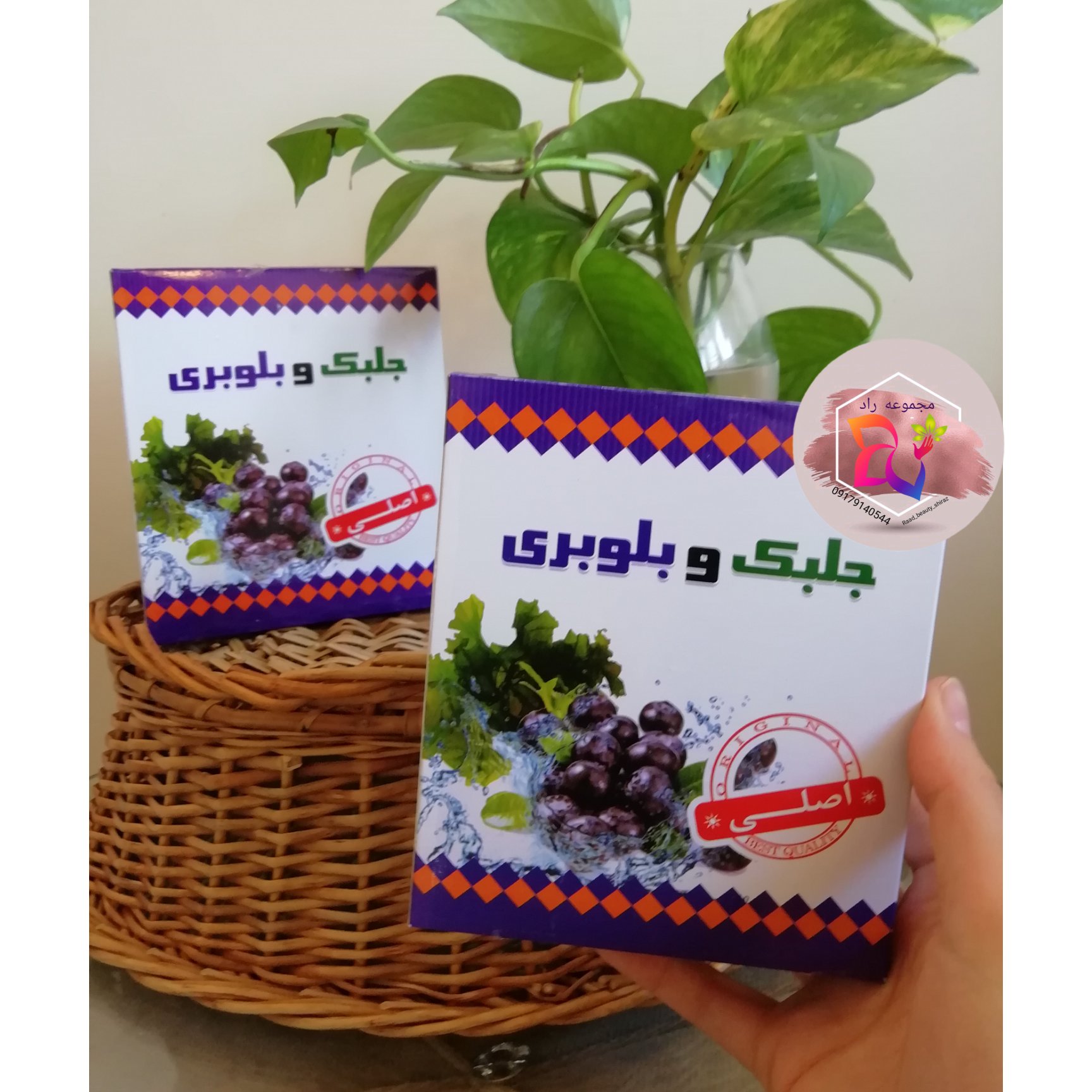 جلبک بلوبری اصلی