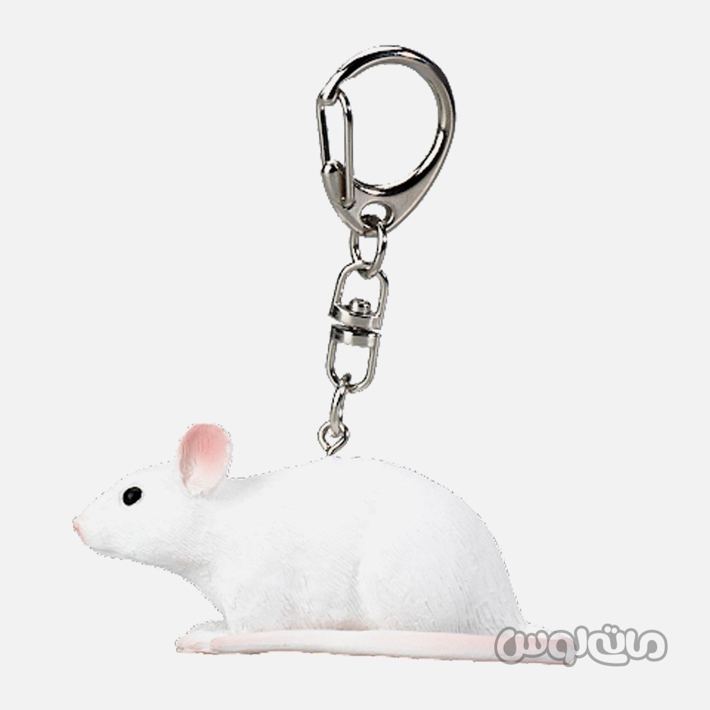 جاکلیدی موش موجو


