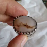 انگشتر شجر   (نقاشی طبیعت )