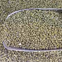 ماش اعلا و زودپز یک کیلویی