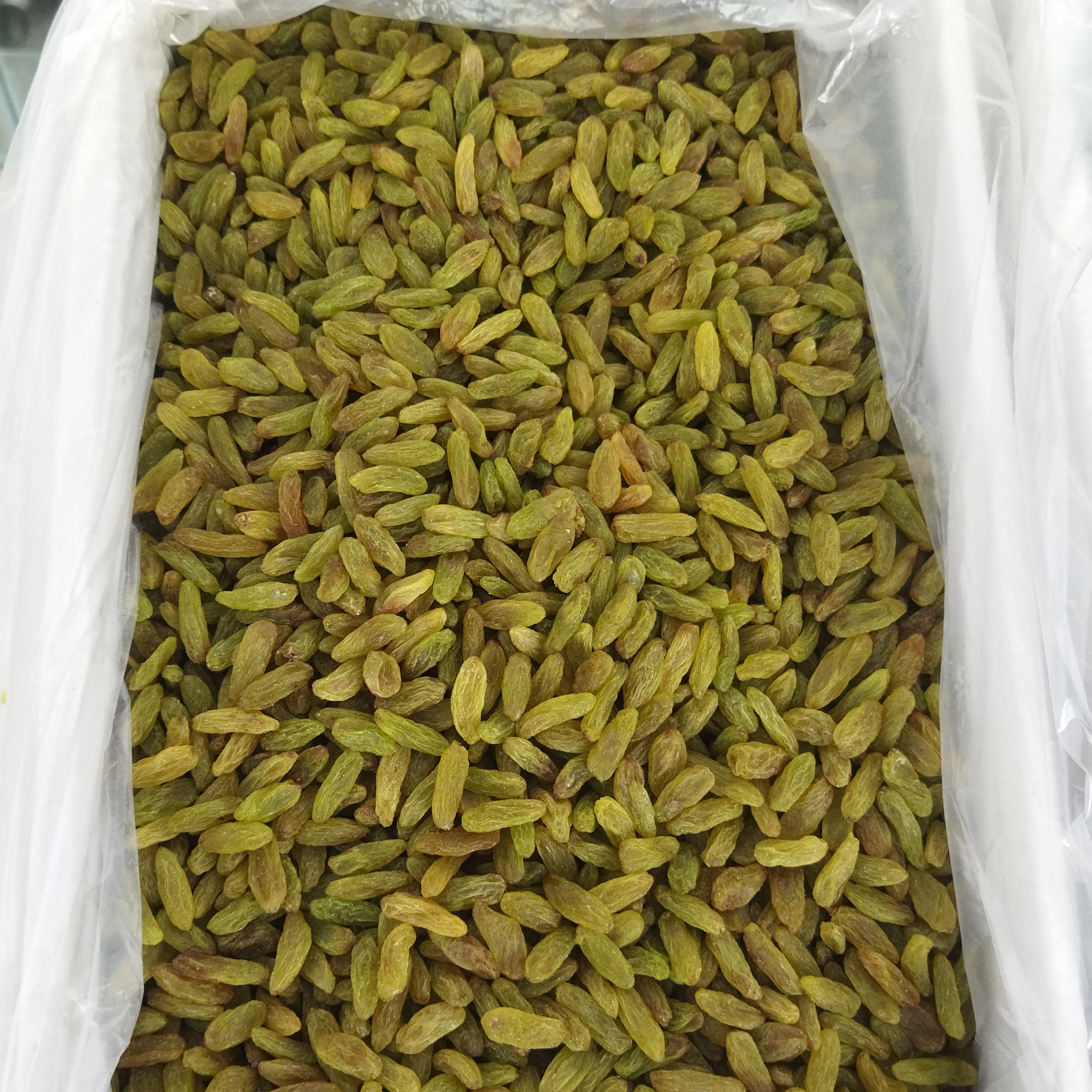 کشمش سبز درج 1