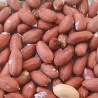 بادام زمینی درشت و بو داده آذرشهر ارسال رایگان