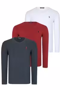 سویشرت سفید مردانه ست سه گانه T8587 دوشرت یقه V Anthracite Claret Red Dewberry