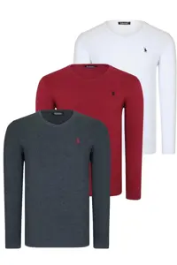 سویشرت سفید مردانه ست سه گانه T8587 دوشرت یقه V Anthracite Claret Red Dewberry