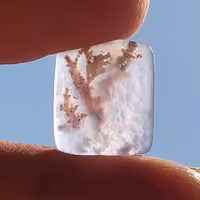 عقیق شجر بهاری سوسنی لونه زنبوری 