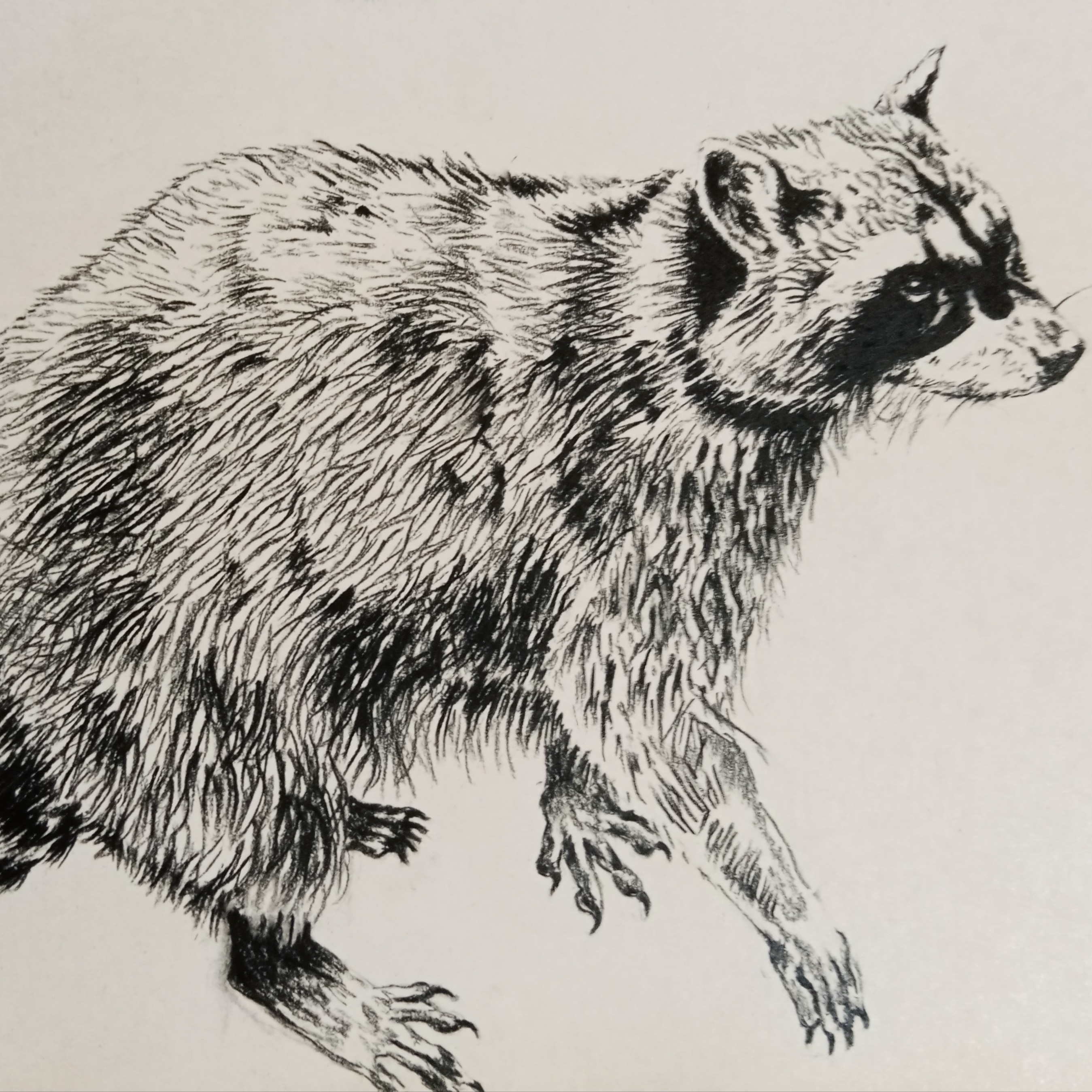 سیاه قلم راکن همراه با قاب