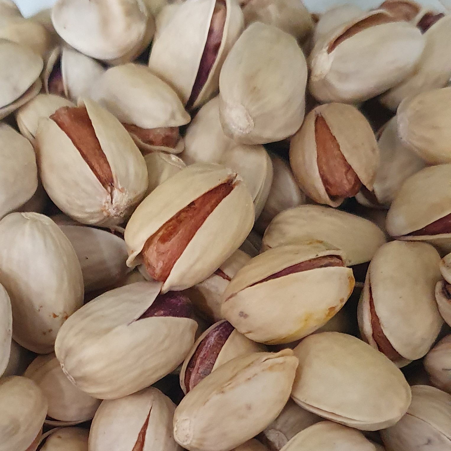 پسته با کیفیت و درجه  یک خراسان 