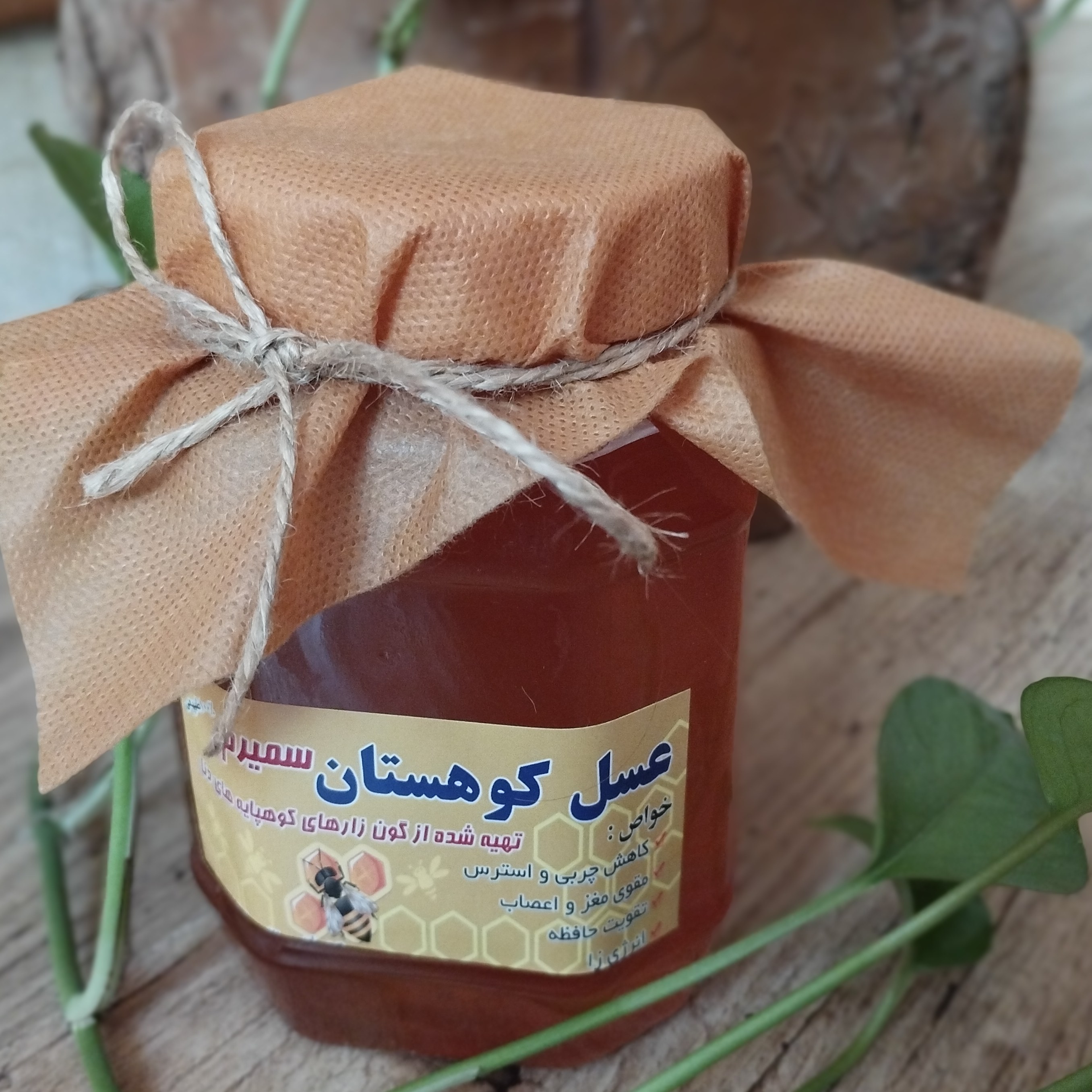 عسل گون کوهستان دنا ( نیم کیلویی)
