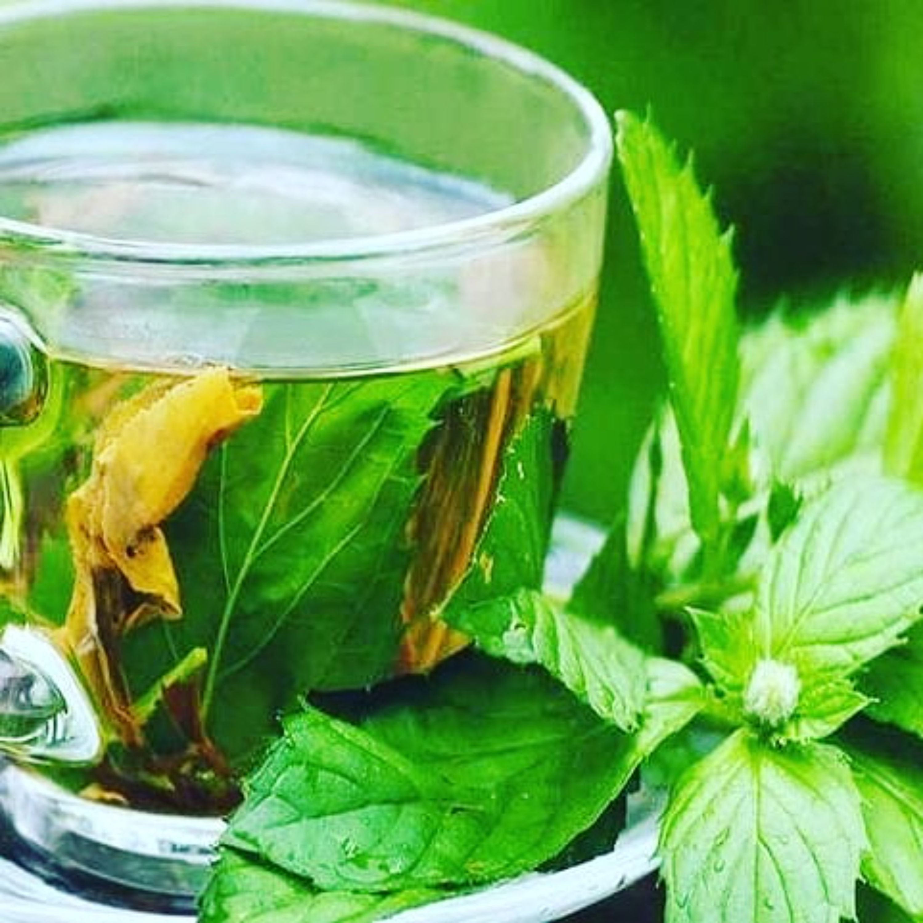 عرق نعنا دو آتیشه قبل از ثبت سفارش از غرفه دار استعلام موجودی بگیرید