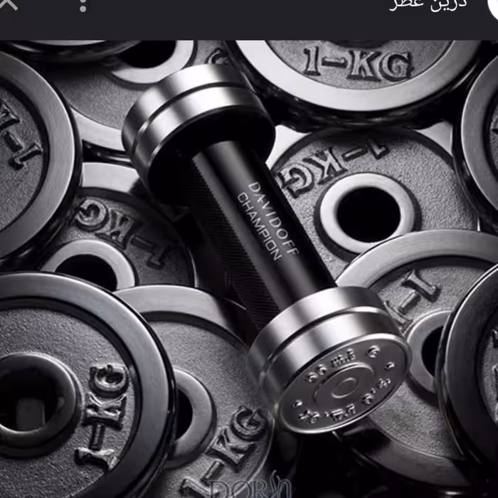 عطر ادکلن مردانه چمپیون دیویدوف 5 میل هر گرم 9900