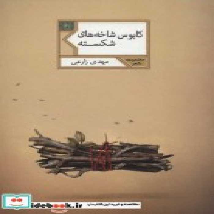 قیمت و خرید کتاب کابوس شاخه های شکسته اثر مهدی زارعی | ایده بوک