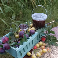 رب آلوچه ترش (گوجه سبز) ارگانیک و بدون مواد نگهدارنده 500 گرمی