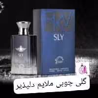 ادکلن  اس ال وای  (ایوسن لورن)شرکت آر کی وی SLY RKV حجم 100 میلی لیتر