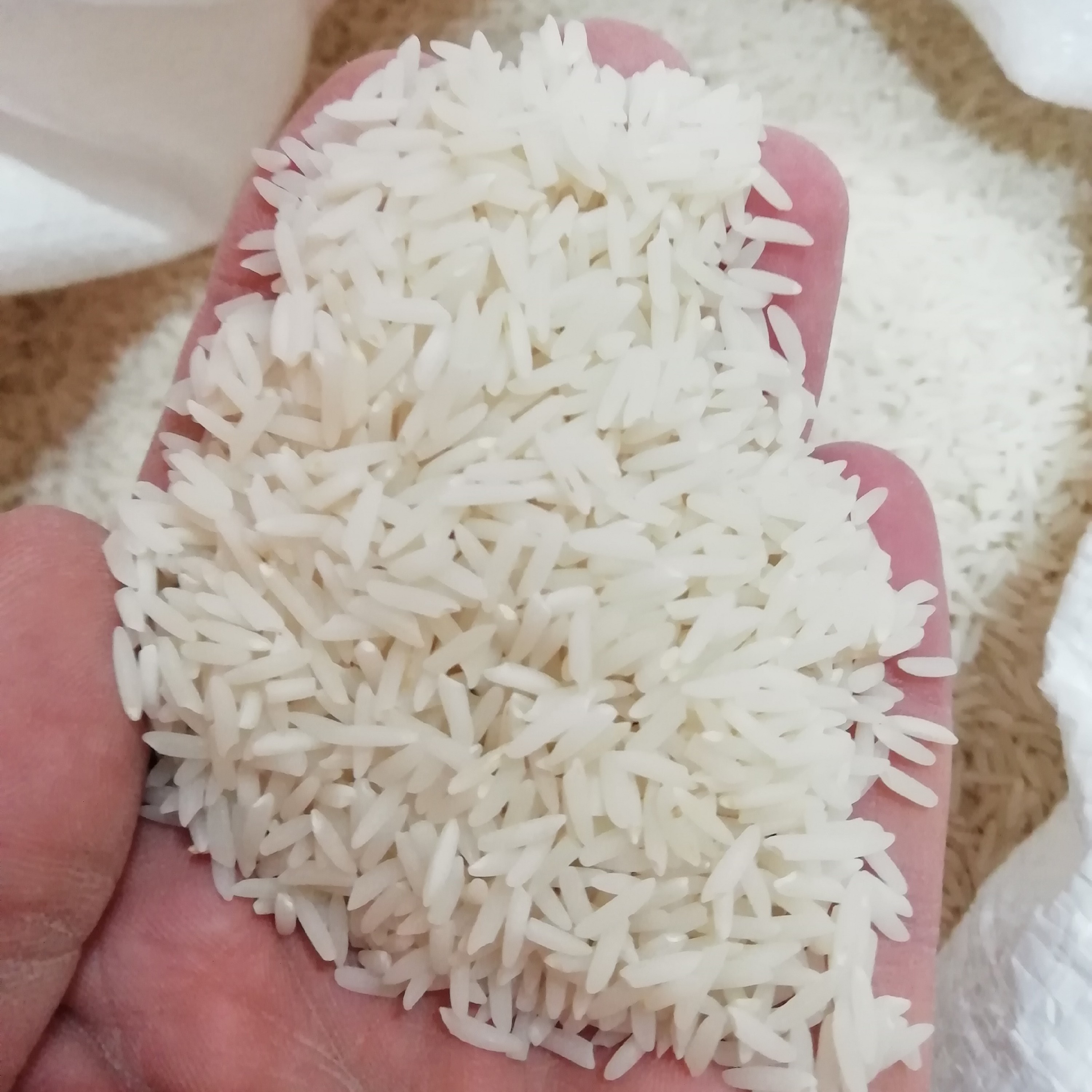 برنج صدری دمسیاه سفارشی و اعلا