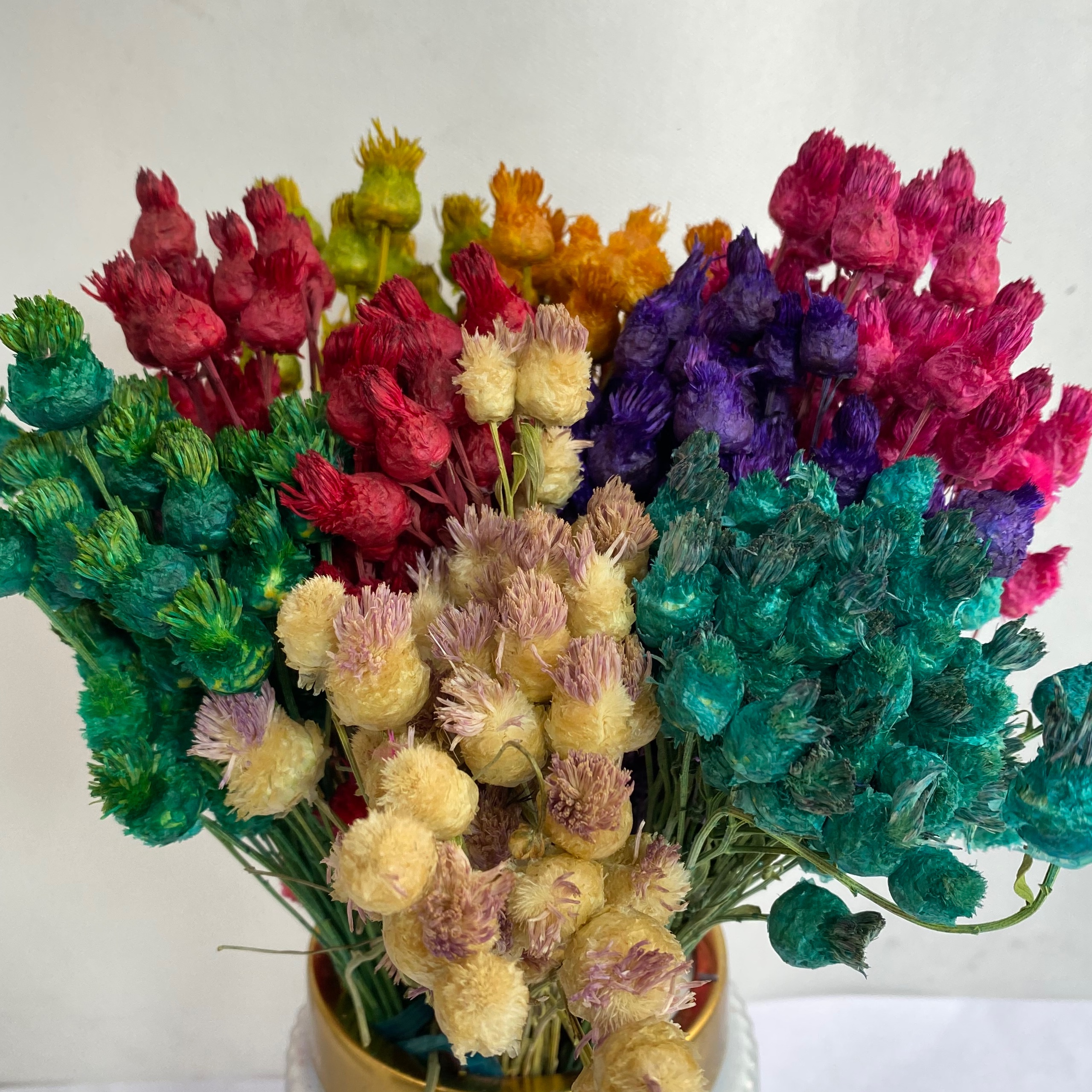 گل تلخه هشت بسته ای فروش عمده