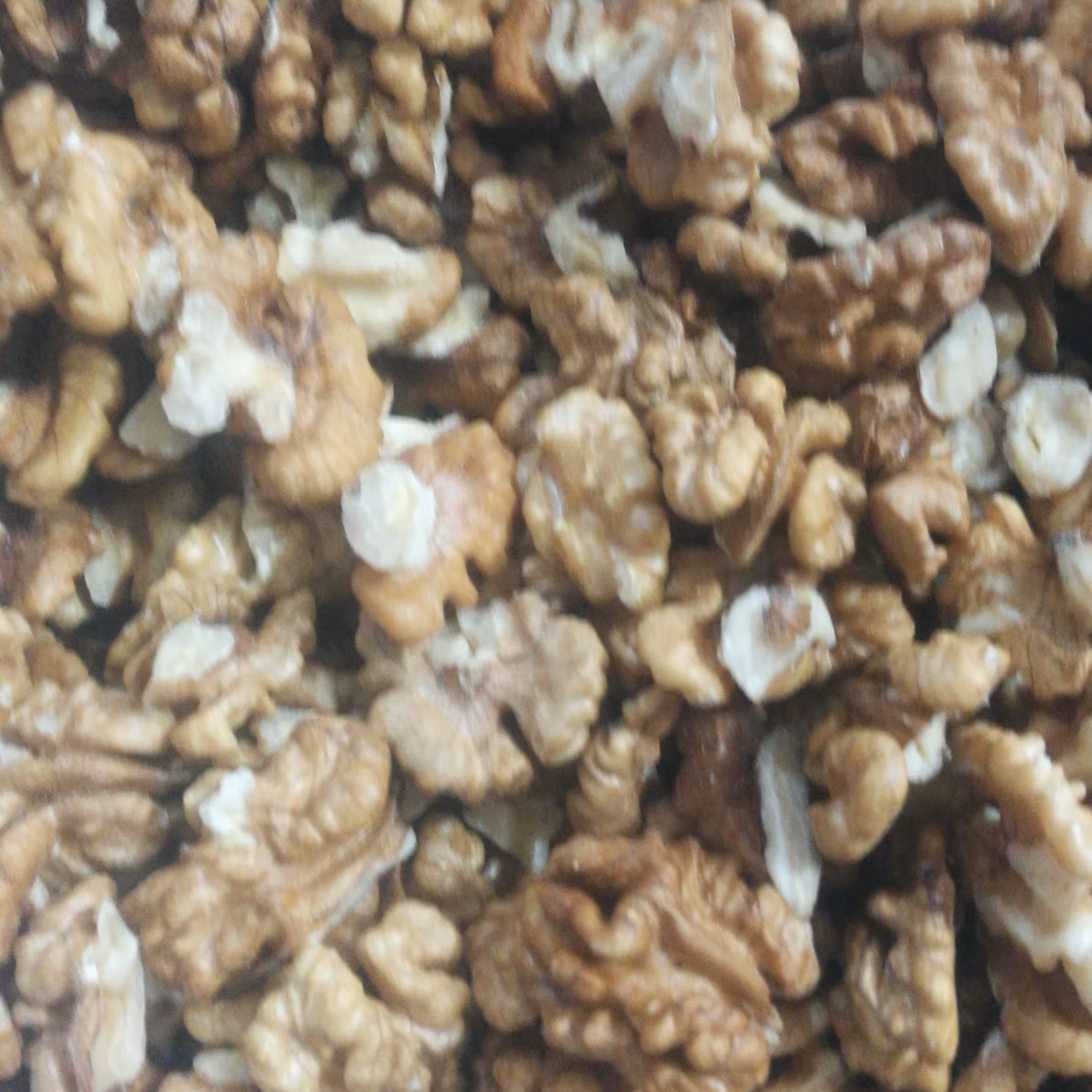 مغزگردوایرانی یک کیلویی