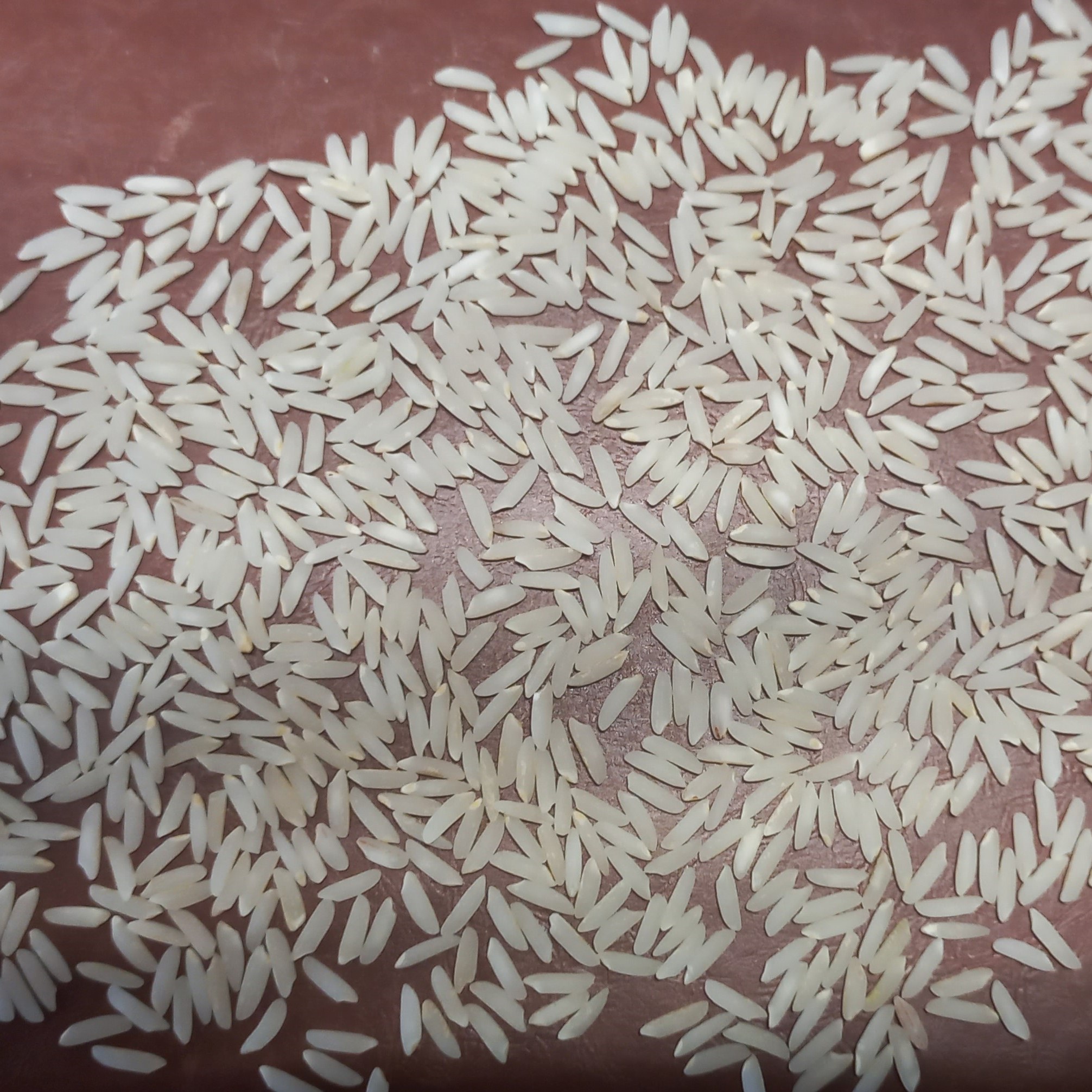 طارم هاشمی سورت شده عطری (محصول زمین خودم)