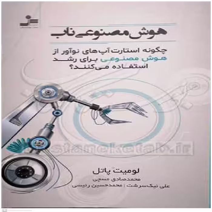 کتاب هوش مصنوعی ناب اثر لومیت پاتل با ترجمه محمد صادق مسچی انتشارات نسل نواندیش