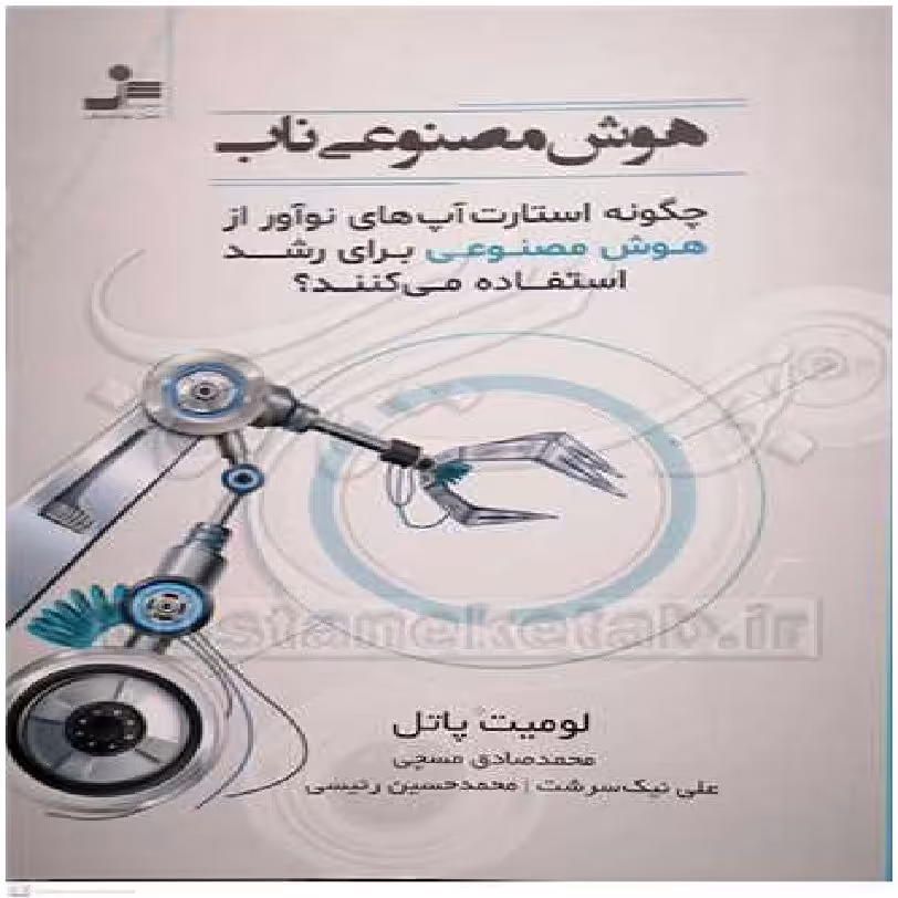 کتاب هوش مصنوعی ناب اثر لومیت پاتل با ترجمه محمد صادق مسچی انتشارات نسل نواندیش