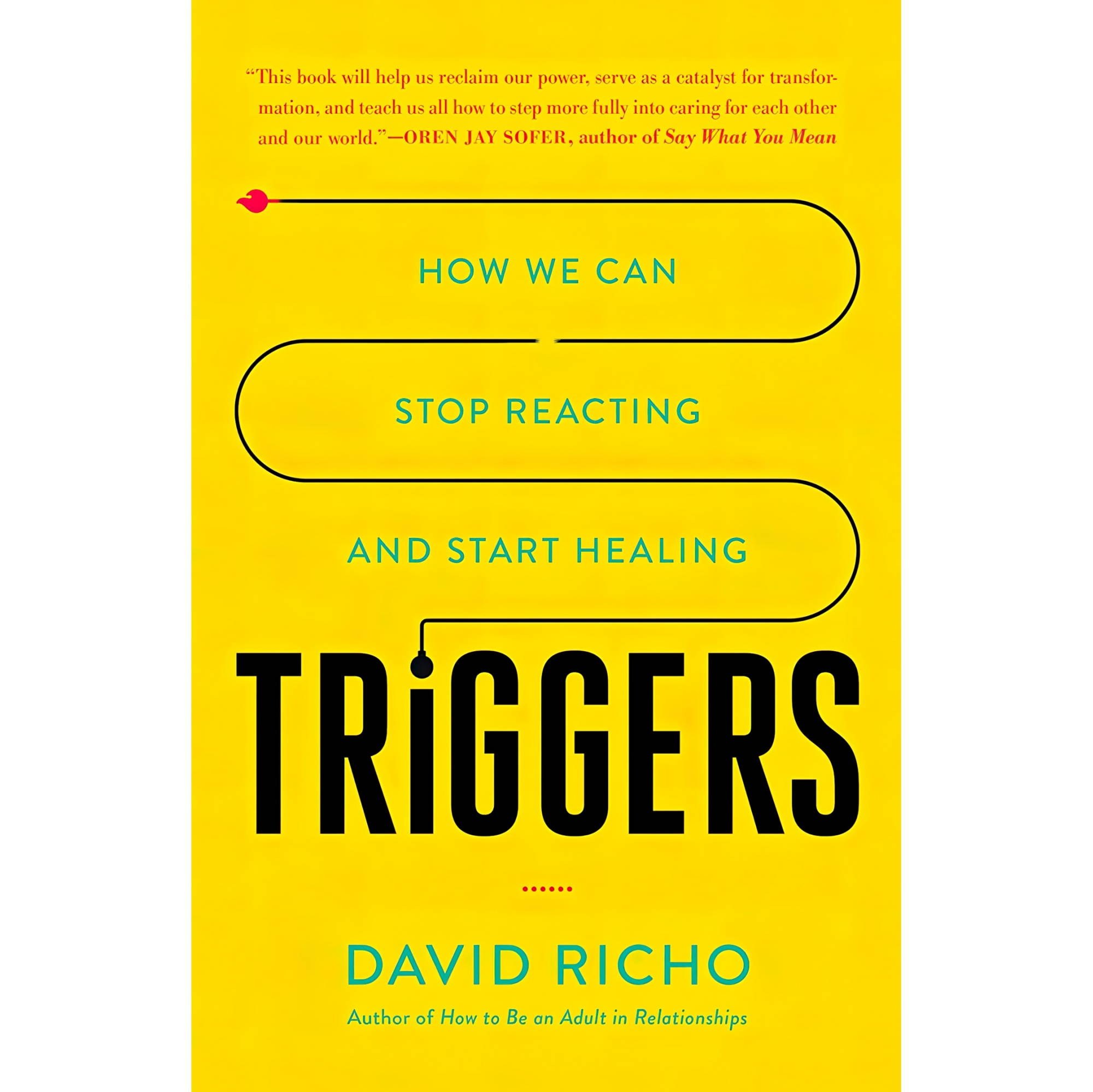 کتاب زبان اصلی Triggers How We Can Stop Reacting and Start Healing