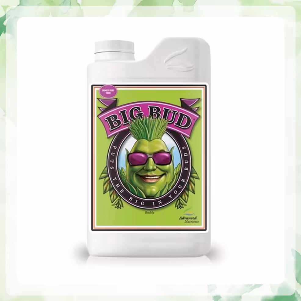 کود ادونس Big Bud
