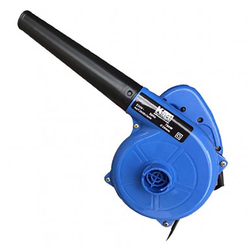 بلوور کی نت