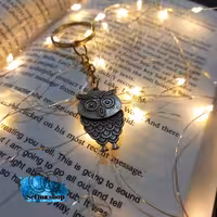 جاکلیدی طرح جغد(جاسوئیچی)