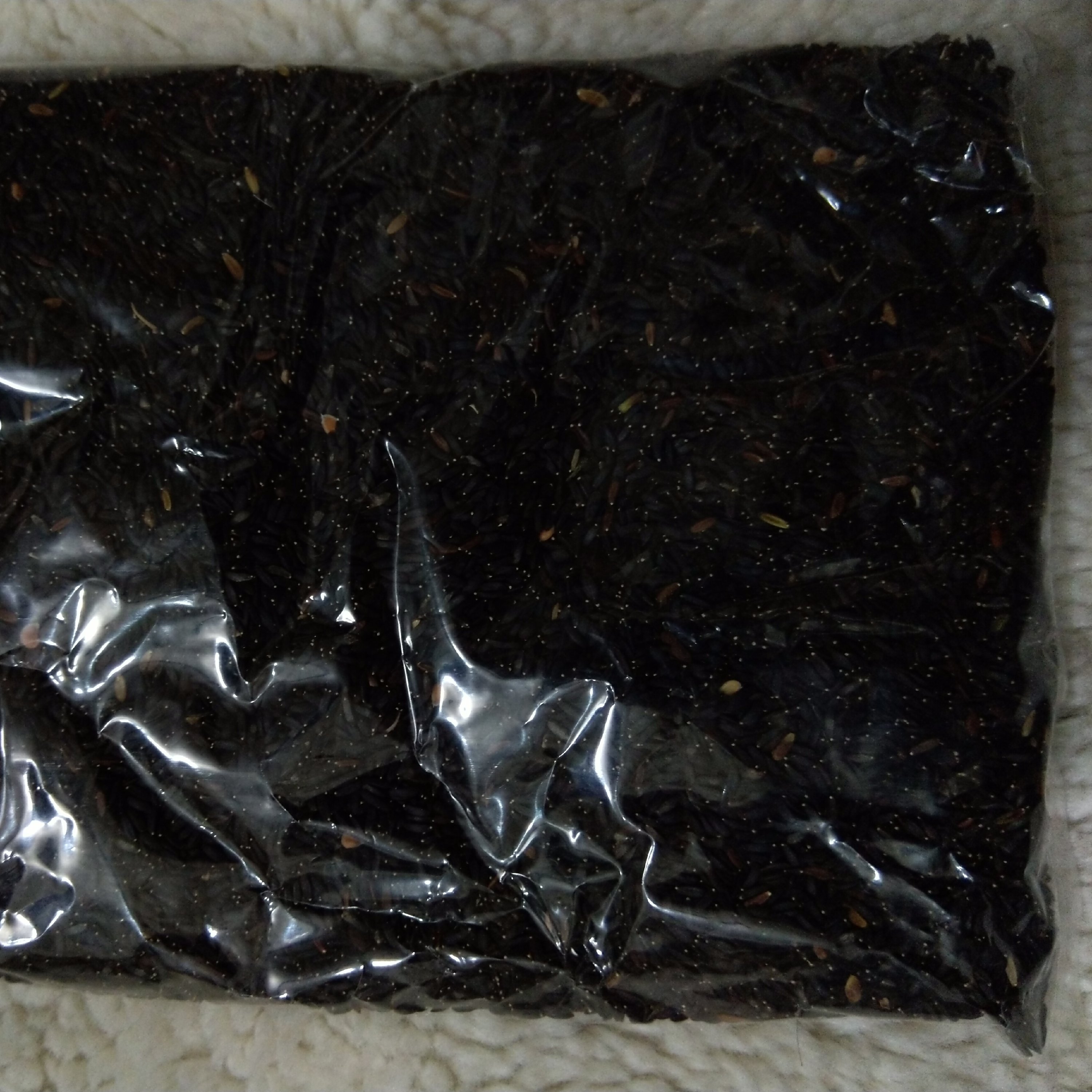 بالنگو (تخم شربتی)